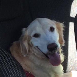 Meet your Posher, Yoo